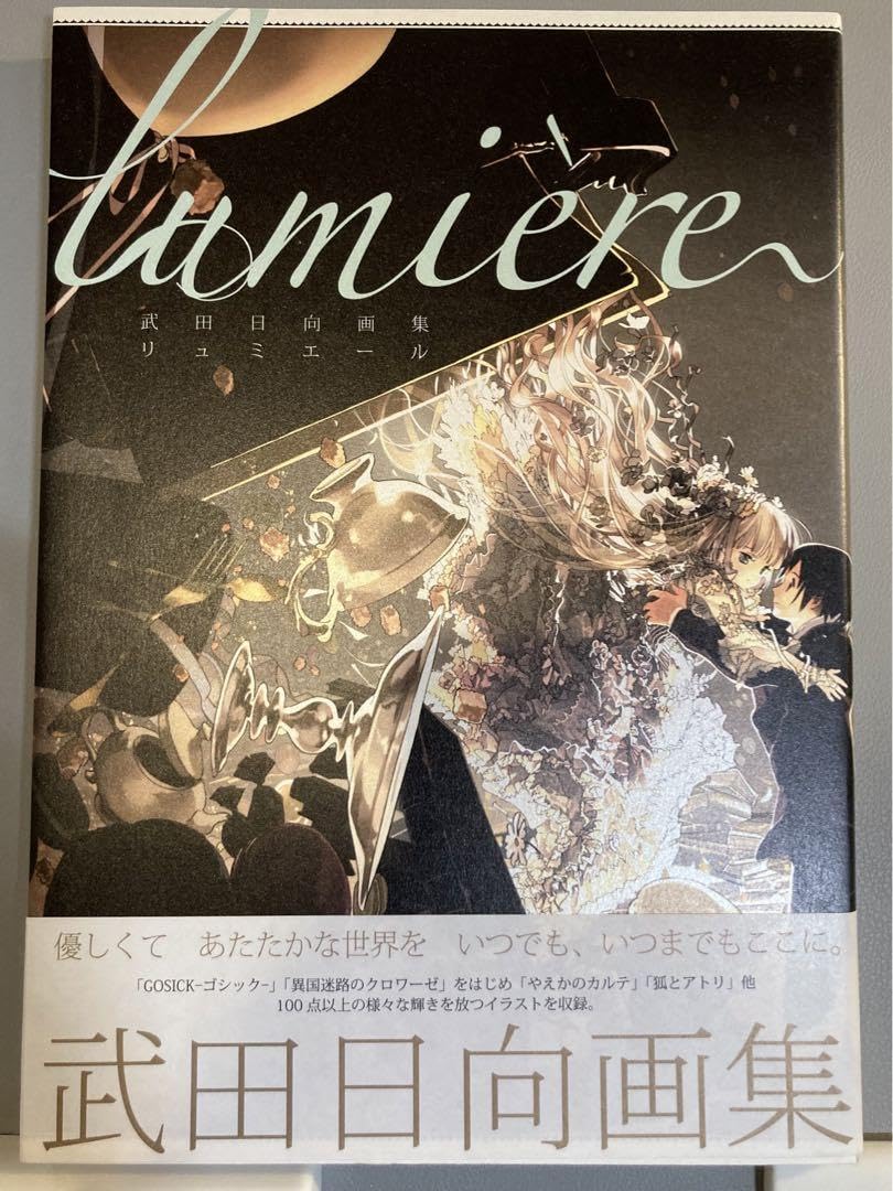 武田日向画集 lumiere リュミエール Amazon.co.jp: 武田日向画集 lumiere : ホーム&キッチン