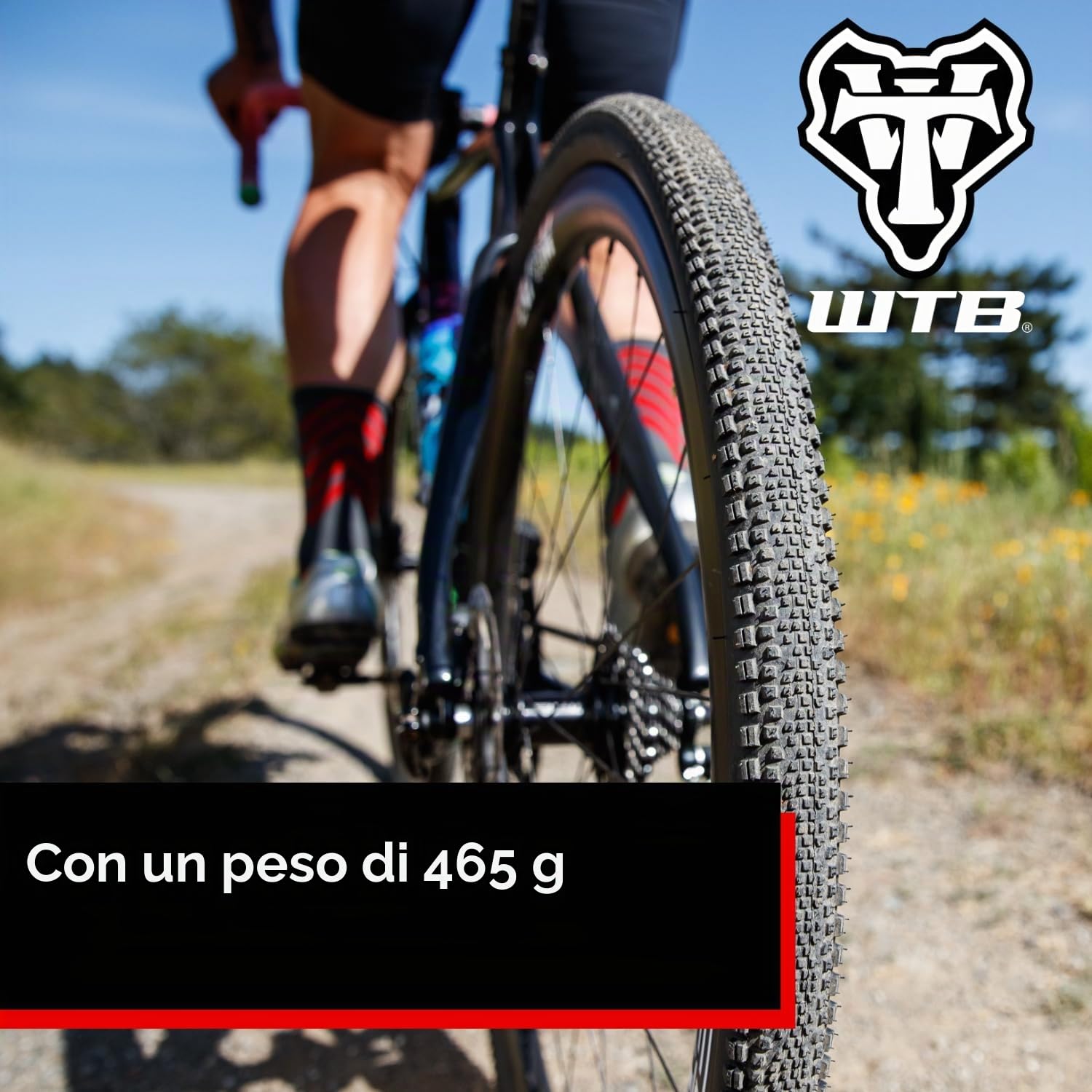 WTB Riddler Gravel Bike Pneumatico, Tubeless Ready Folding Bead, Leggero Fast Rolling, Dual DNA per Adventure Rides