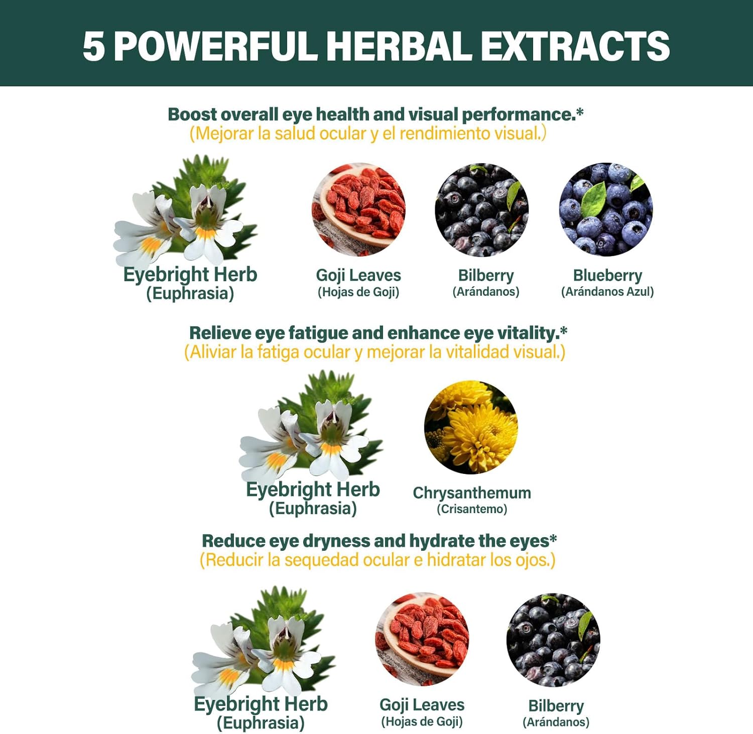 Eyebright Herb Drops for Eye Health, Eye Fatigue & Dry Eye Support Herbal Supplements W/Euphrasia officinalis Bilberry Goji Leaves Blueberry Extract, Organic Eye Drops for Sight Care .2oz - Image 4