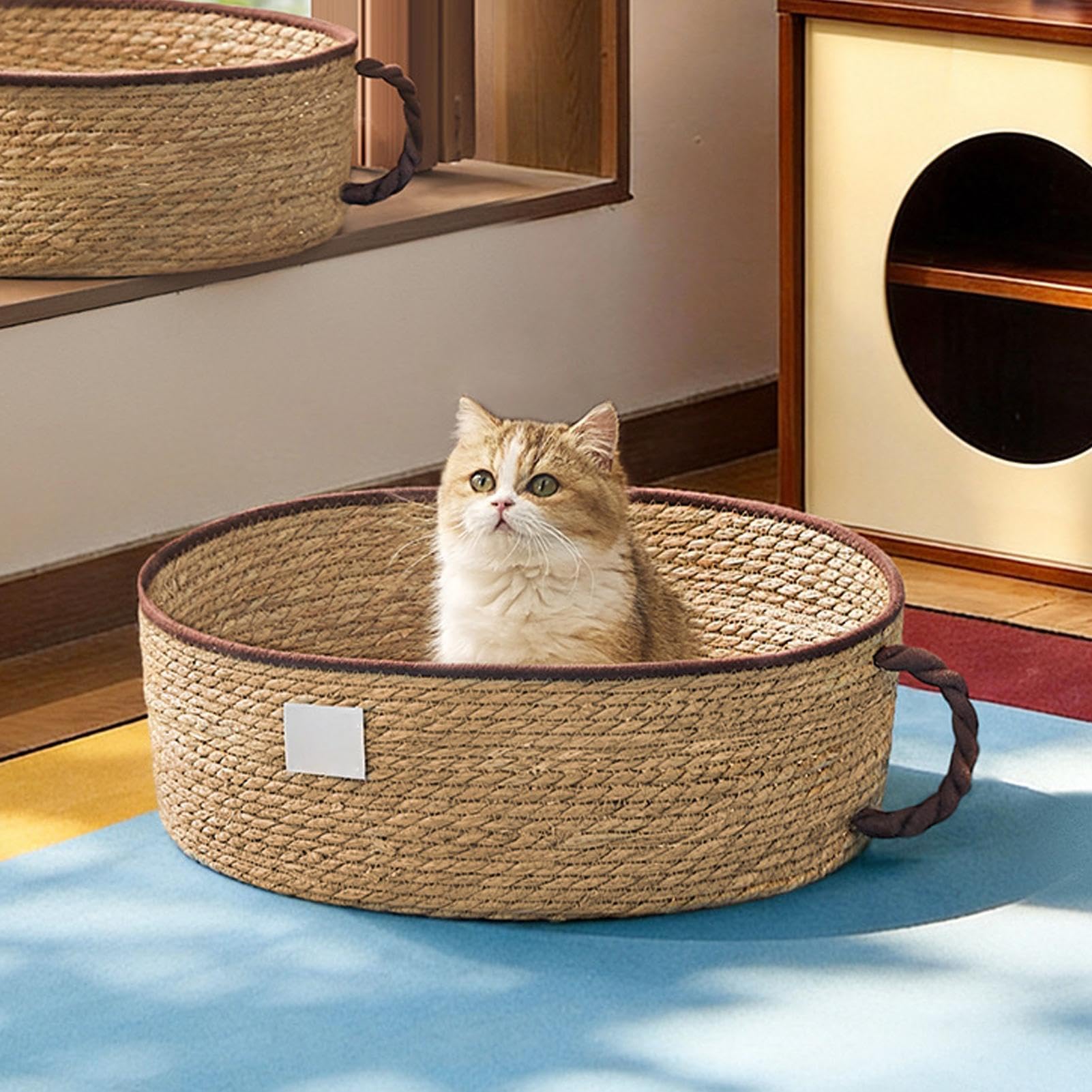 Cesta per gatti – traspirante – cuccia per gatti – in corda di cotone intrecciata – per comodino, soggiorno, ufficio, tavolo, finestra angolare