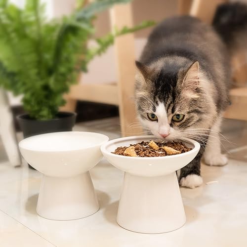 Miniatura 4 de Cuenco de agua elevado extra ancho de cerámica para gatos, plato de 6.2 pulgadas más profundo para aliviar la fatiga de los bigotes, 5 pulgadas de