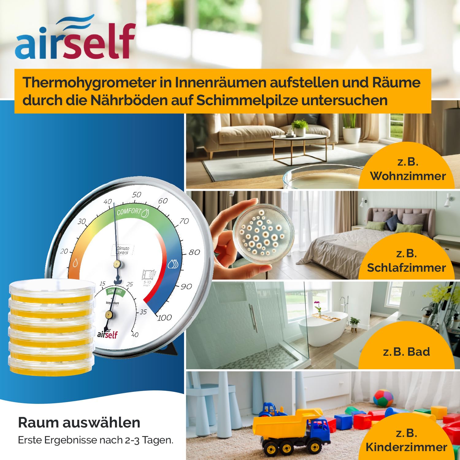 Schimmeltest + Thermohygrometer analog für bis zu 6 Räume | zum Check der Schimmelbelastung, inkl. analogem Thermo-Hygrometer