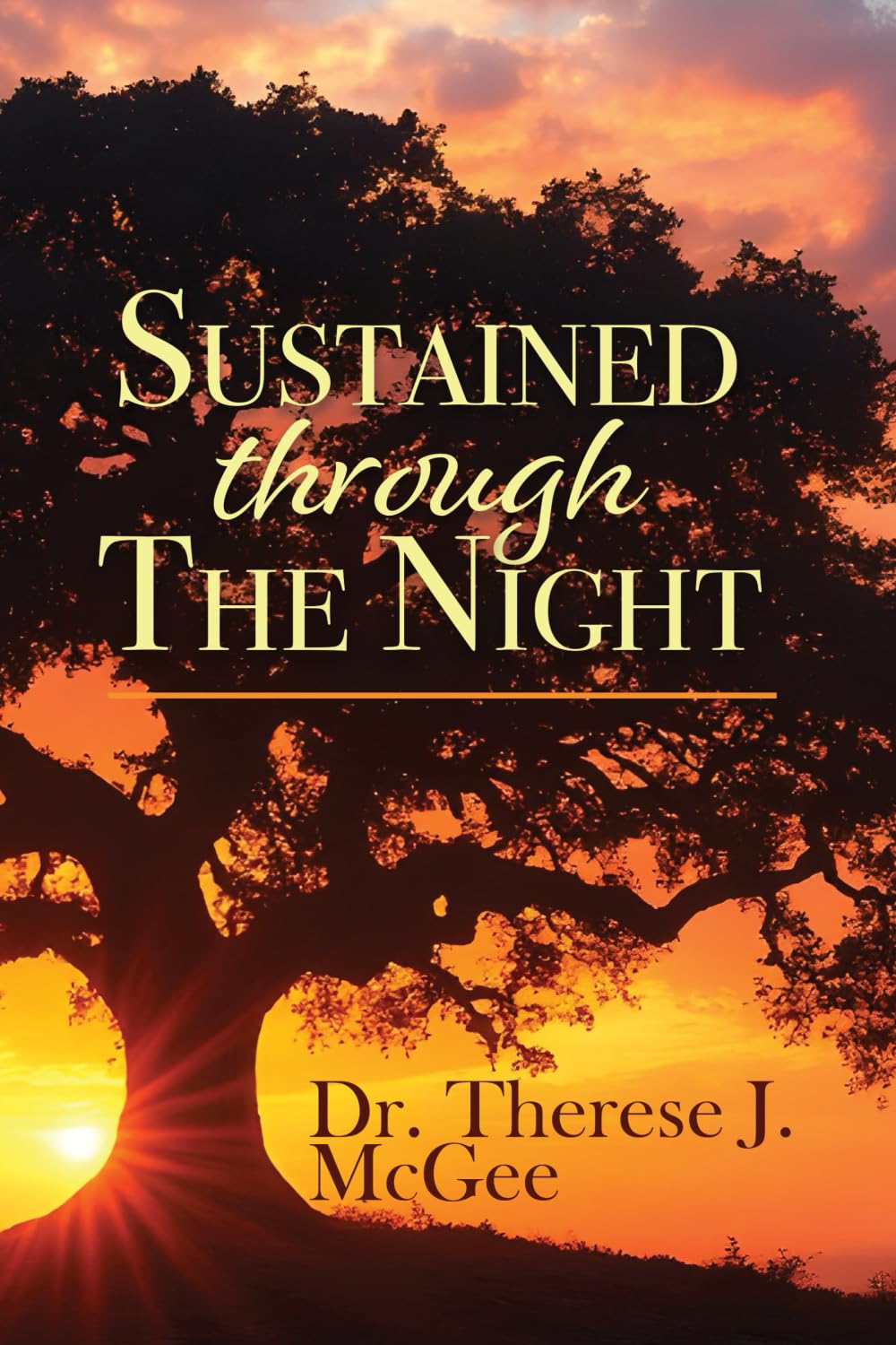 Sustained Through the Night: A Story of Love, Mental Illness, and Cultural Understanding