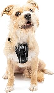 Kurgo Tru-Fit Smart