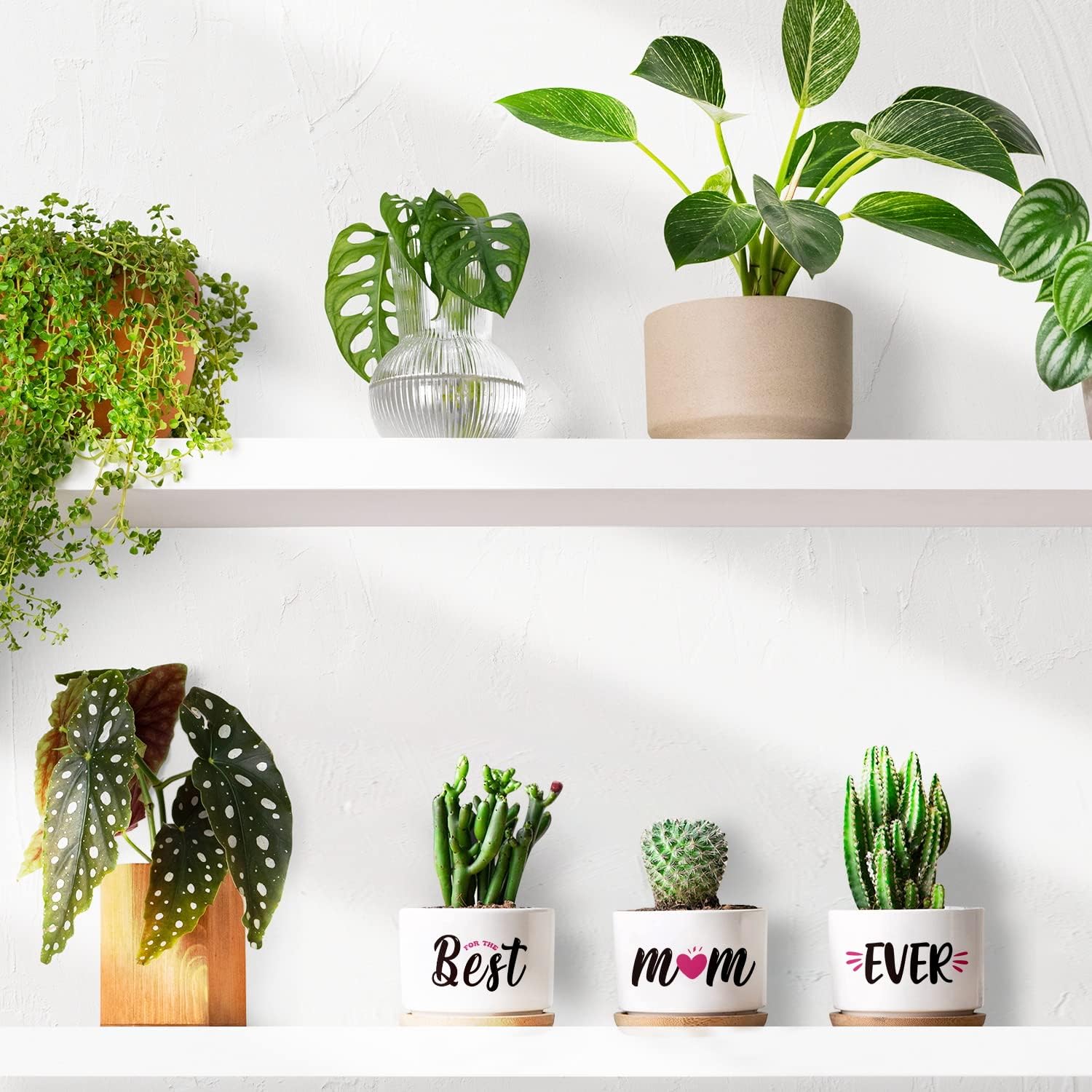 Buioata Mum Gifts from Daughter Son, Birthday Gifts for Mum on Her Birthday, Succulent Planters Best Mum Ever - Image 3