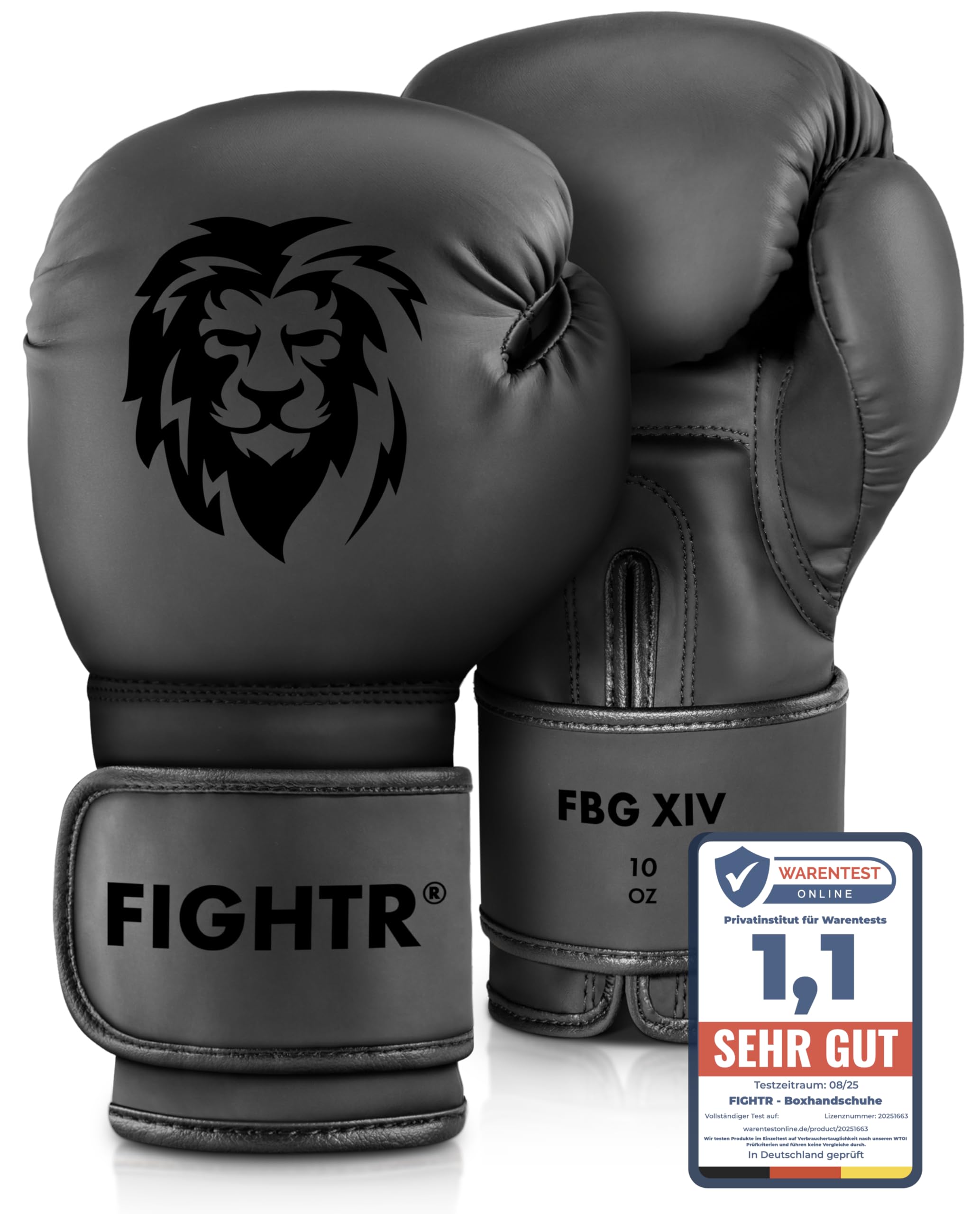 FIGHTR® Boxhandschuhe - Maximaler Schutz & Stabilität | Box Handschuhe für Boxen, MMA, Muay Thai & Kickboxen | Größen 8-16 oz, inkl. Tragetasche