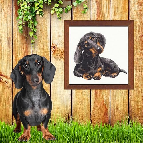 Vista 3 de RIOLIS - Perro salchicha 906, kits de punto de cruz para perros de 9,84 x 9,84 pulgadas, kits de punto de cruz contado, kits de punto de cruz