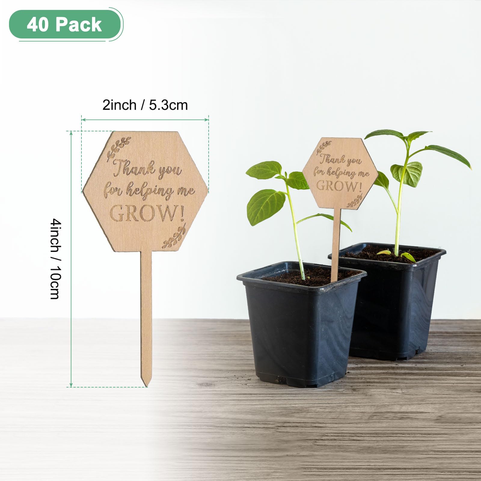 M METERXITY 40-Pack Thank You for Helping Me Grow Plant Labels 4"x2"x0.08"(LxWxT) Hexagon Wooden Plant Stakes Labels - Image 3