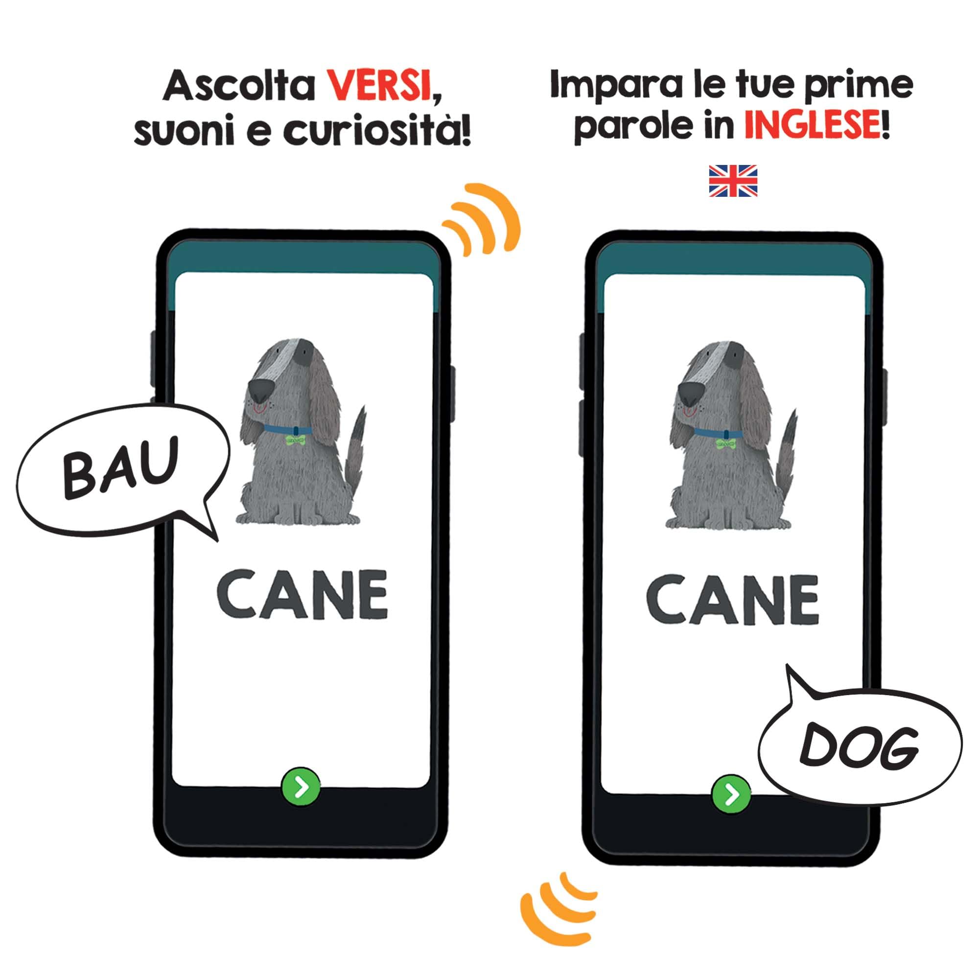 HEADU - Il Cofanetto delle Flashcards 100 parole - La Più Ricca Raccolta di Flashcards Per Imparare le Prime Parole | Con App Interattiva, Gioco Educativo 2 3 4 Anni, Idea Regalo, Made in Italy