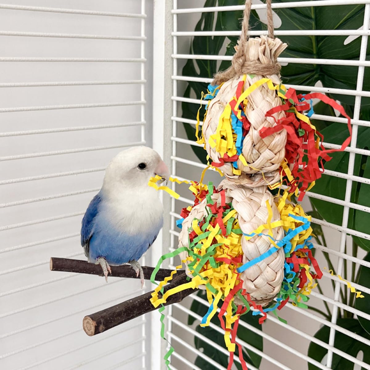 Natural Wood Parakeet Swing Toy, Cockatiel, Lovebird, Budgie Wooden Perch Stand, Small and Medium Bird Cage Accessories (Large) - image 4