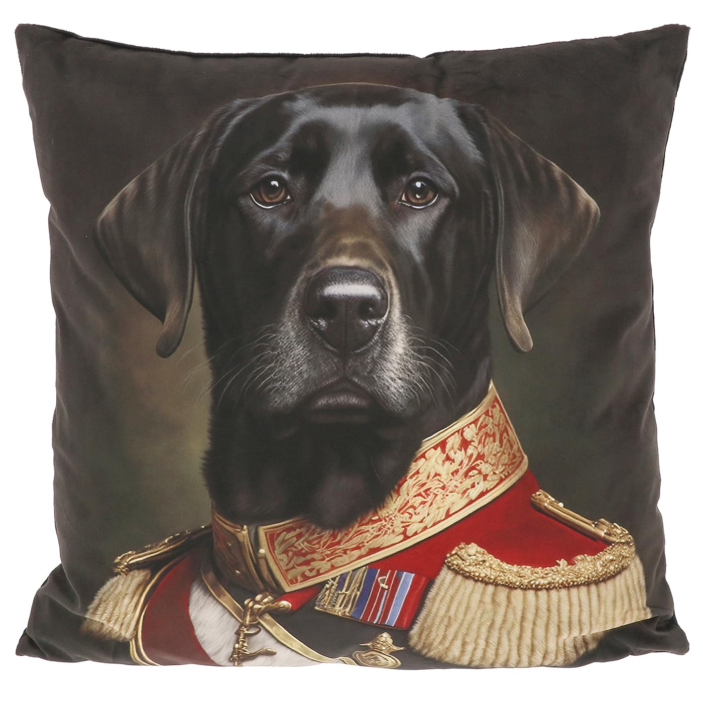 Shudehill Giftware Top Dog Cushion Collection - Labrador, Schnauzer, Frenchie, Poodle & More (Black Labrador)