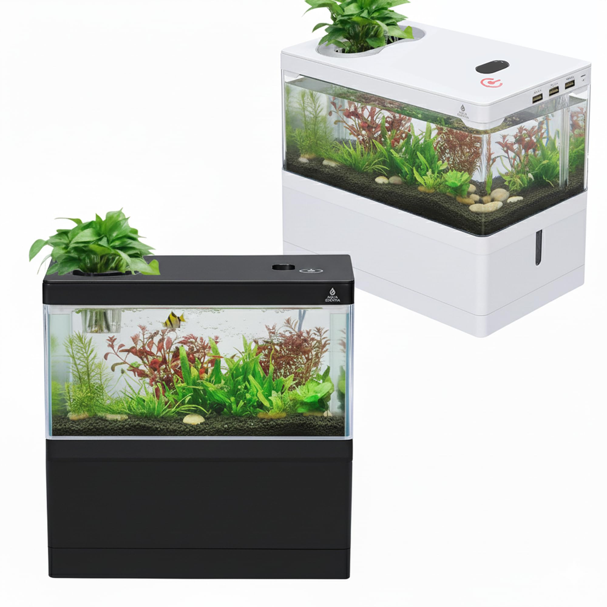 Amazon | 【アクアエデンティア】小型オーバーフロー水槽セット USB