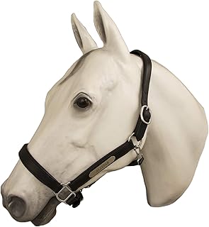 Horse Fare Products Black Comfy Fancy Stitch Padded Leather Halter with Chrome Hardware & Customized Nameplate- Made in The USA (Oversize)