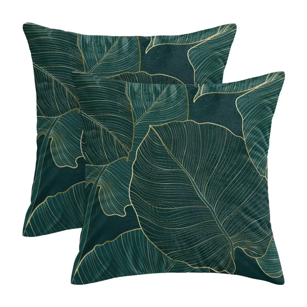 AEIOAE Tropical Leaves Pillow Covers 16 X 16 Inch Set of 2, Emerald Green Minimalist Geometric Palm Leaf Throw Pillow Covers Plant Outdoor Decorative