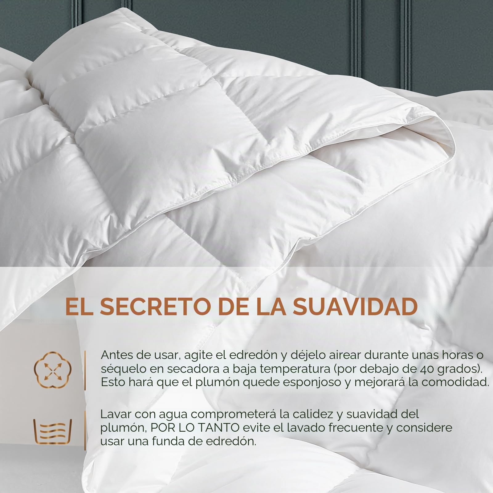 C&W Edredón de plumón de Ganso Blanco, tamaño Queen, Relleno de edredón de plumón Pesado para Invierno, Potencia de Relleno 750, Peso de Relleno de 55 onzas, Color Blanco sólido