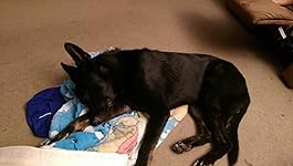 Review Image by Brianna Brianna