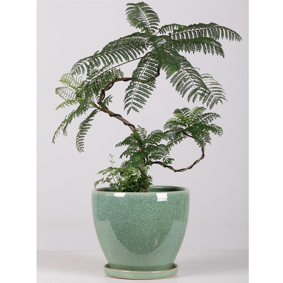 Doniczka 25,5 * 22 cm Pogrubiona doniczka ceramiczna do użytku domowego z dzieloną tacką Duża doniczka na kwiaty i zielone rośliny Doniczka