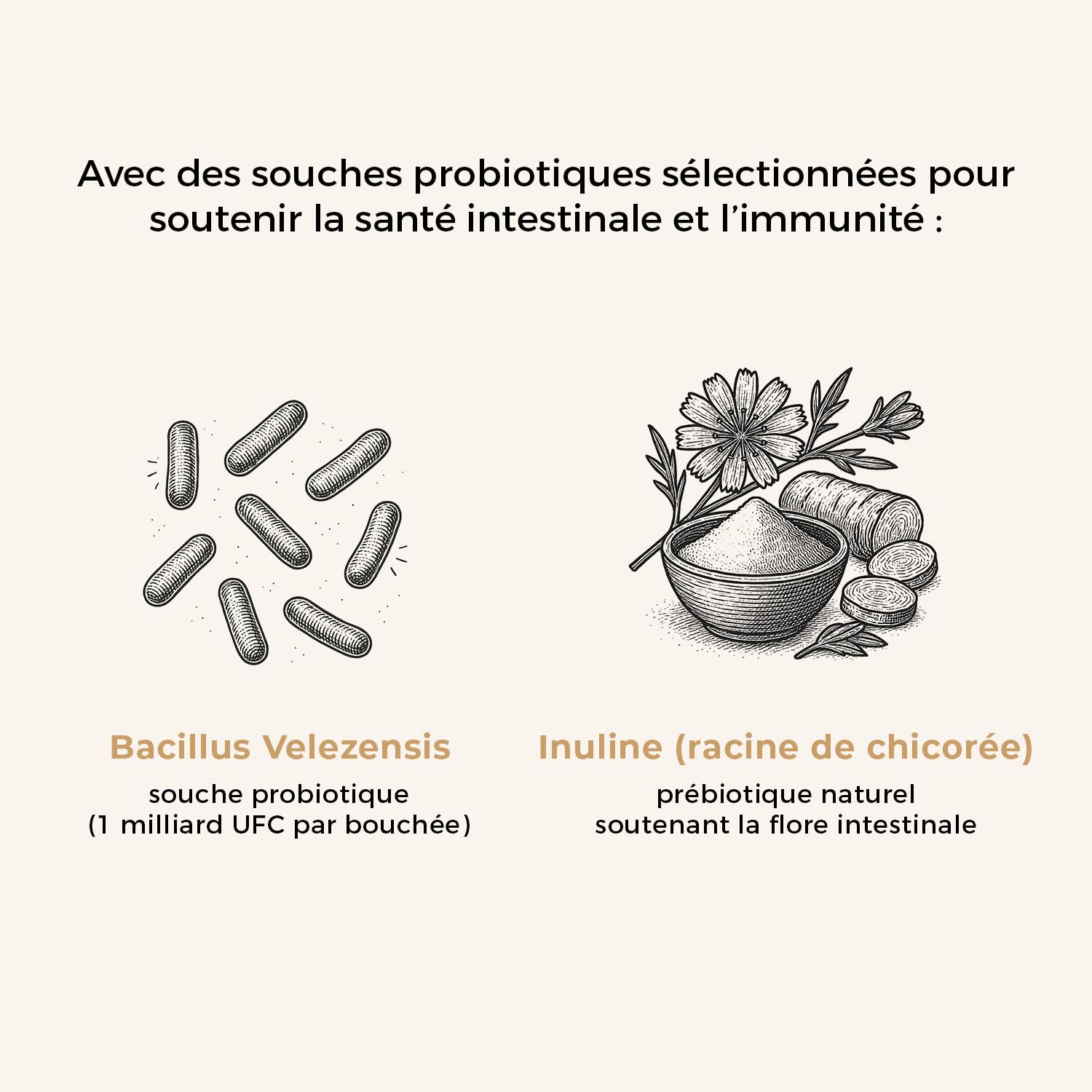 SwissVet Probiotique Chien - 60 Bouchées Flore Intestinale & Digestion - Prébiotiques (Inuline) & Bacillus Velezensis - Anti Diarrhée, Gaz & Ballonnements - Immunité & Transit Sain