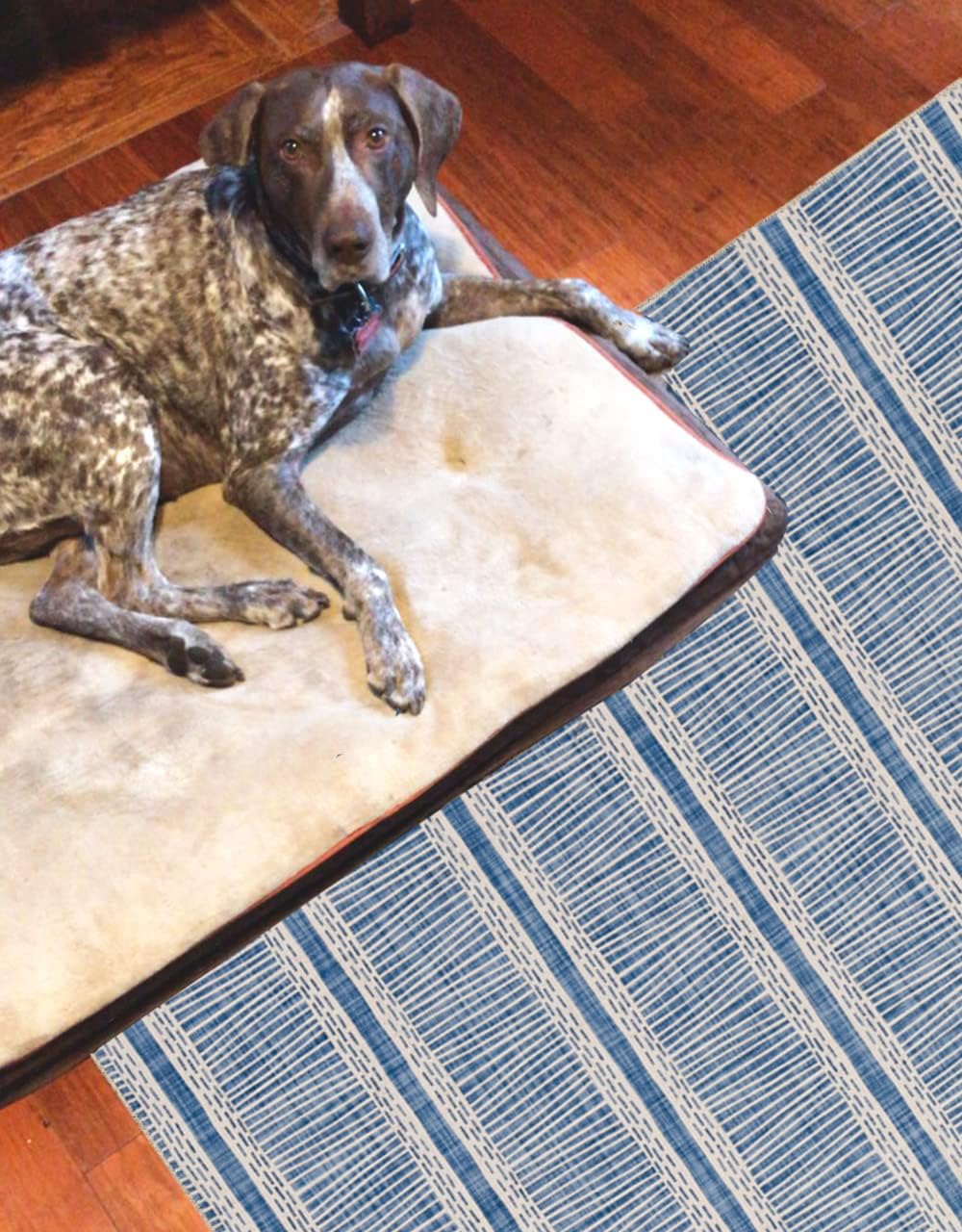 The Anywhere Washable Rug Kanton Ivory/Blue 3' X 5' Accent Rug