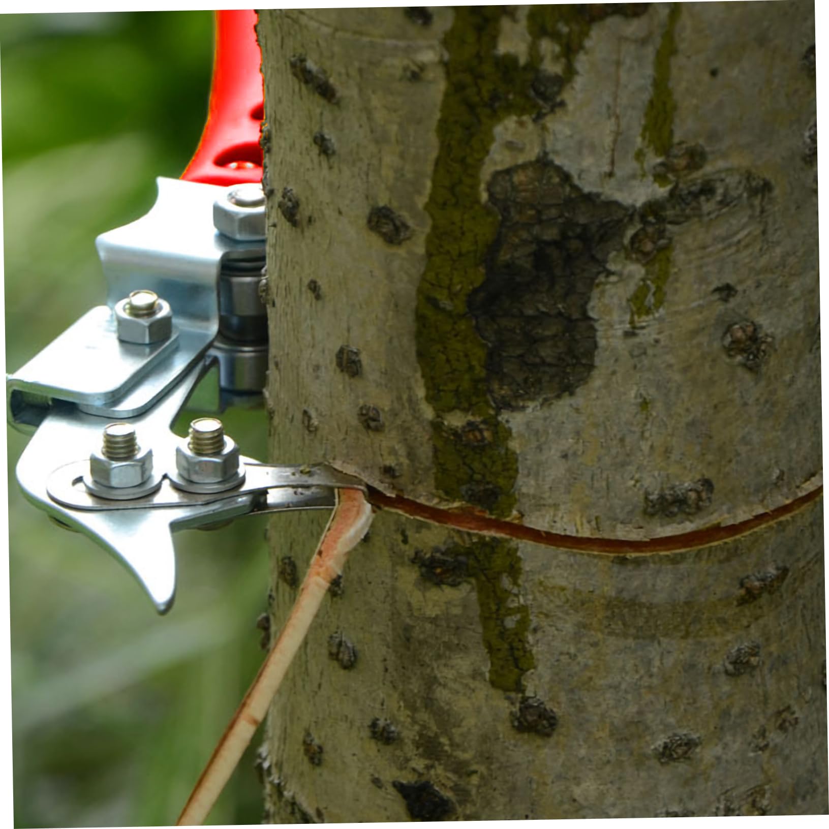 Happyyami Adjustable Girdling Cutter Tool for Fruit Trees Durable Bark Stripper with Double Pulley Design for Efficient Peeling of Apple Pear Jujube and Trees