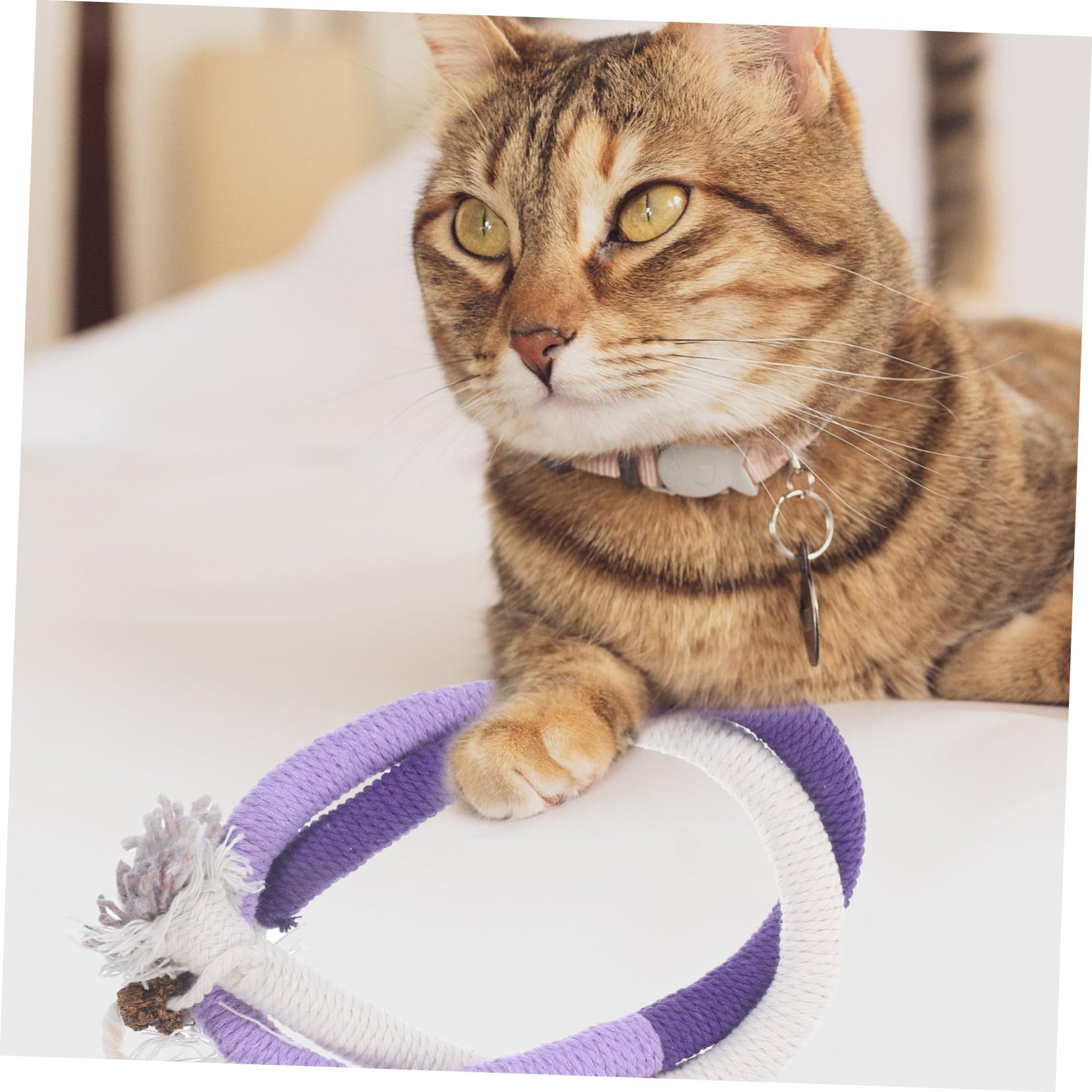 BESPORTBLE 12 Pièces Jouet pour Chat Jouets pour Animaux De Compagnie Jouets pour Chaton Voiture Corde en Coton Jouets De Morsure De Chat Corde De Meulage De Dents De Chat Jouets À Mâcher