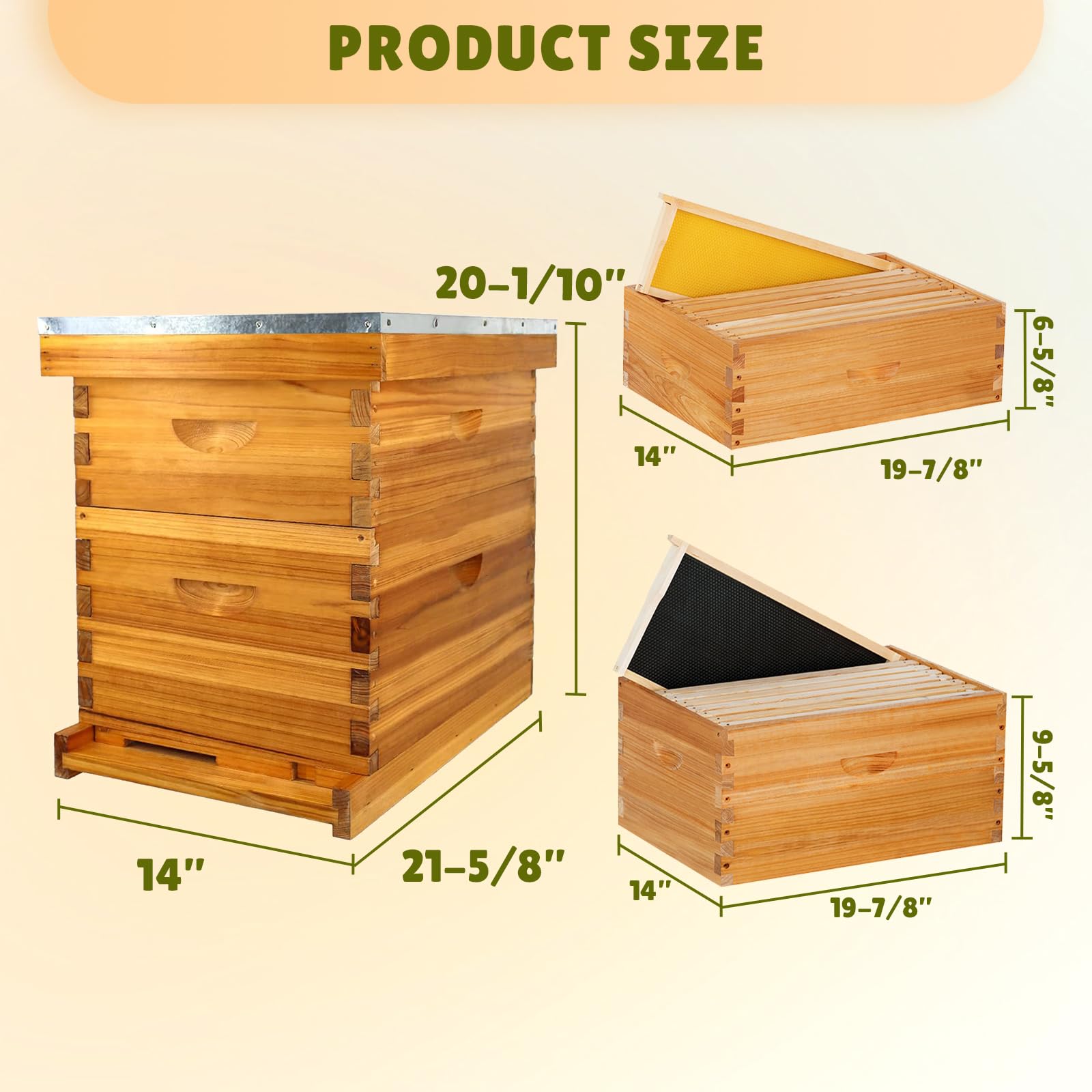 Kit Completo de Colmena de Abeja de 8 Marcos con Revestimiento de Cera de Abeja, Incluye Marcos y Hoja de Base para Todos los Niveles de Apicultura (1 Caja Profunda y 1 Mediana de Abeja)