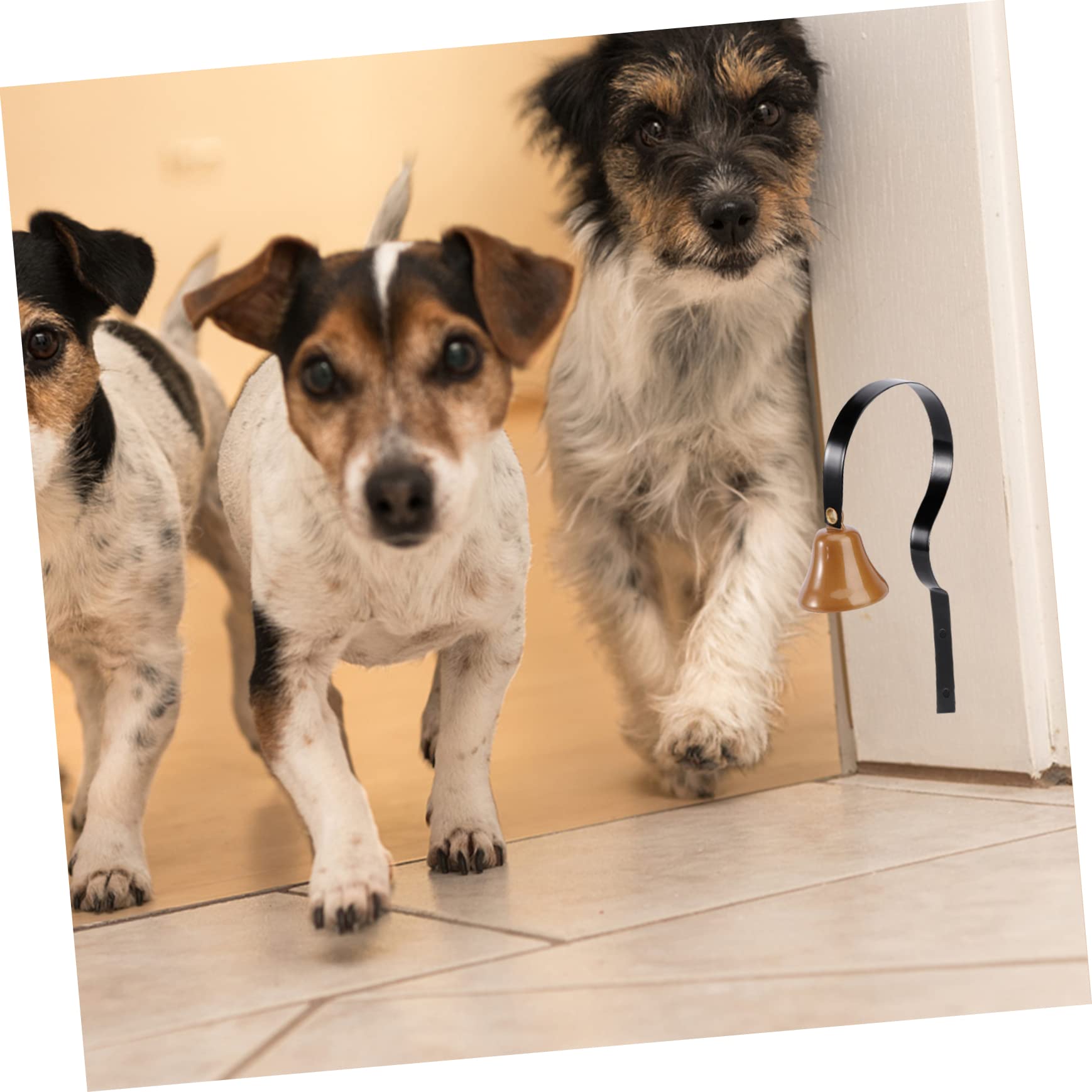 COLLBATH Doggy Doorbell Bell for Potty Training Puppy Training Bell Easy to Install Rustproof Metal