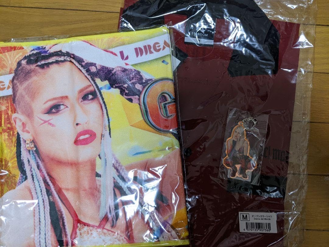 ANAスカイホリデーキャンペーン・妻夫木聡 非売品クリアファイル 2枚セット