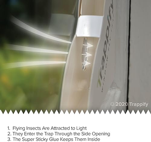 Vista 4 de Trappify Trampa para moscas para interiores: trampas para moscas de ventana para el hogar Trampas para moscas de frutas para interiores, trampas