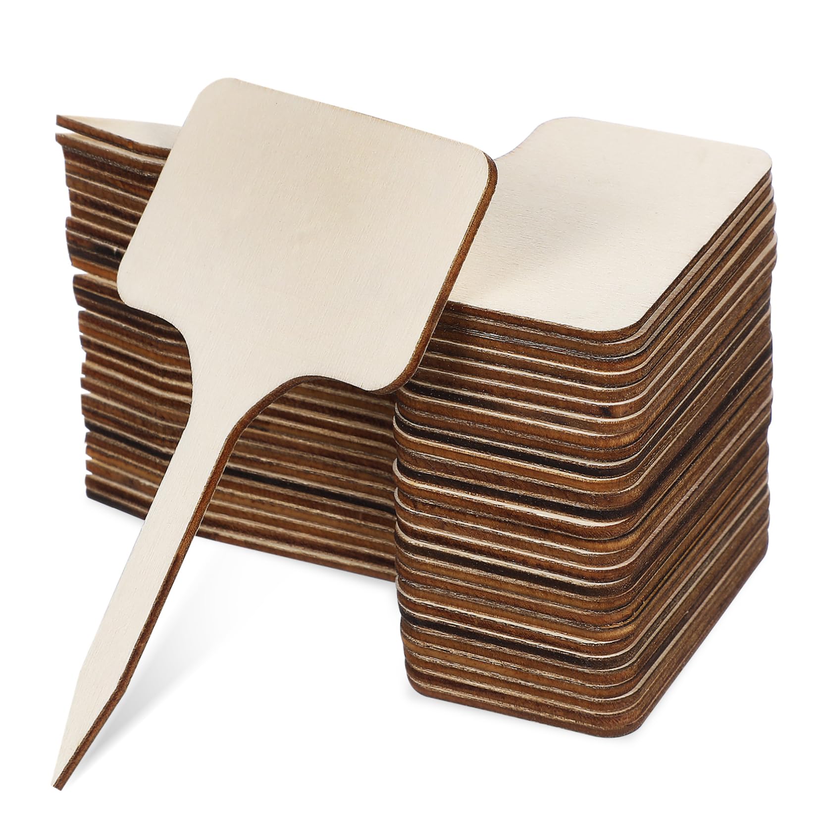 YARNOW 250pièces Étiquettes De Plantes Marqueurs De Jardin Étiquettes Pour Et Fleurs Accessoires De Jardinage Pratiques