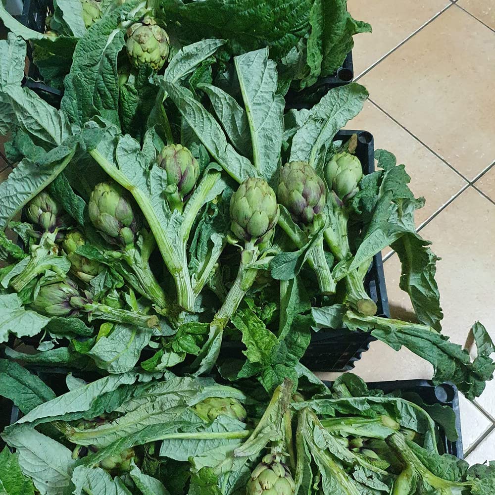 Alcachofas en aceite de oliva virgen extra ecológico violeta de Apulia 320g