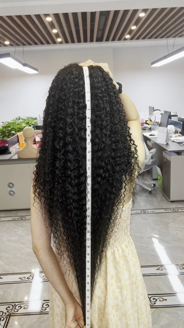 13x4 Curly Lace Front Human Hair Wigs Brazilian Virgin Hair 13x4