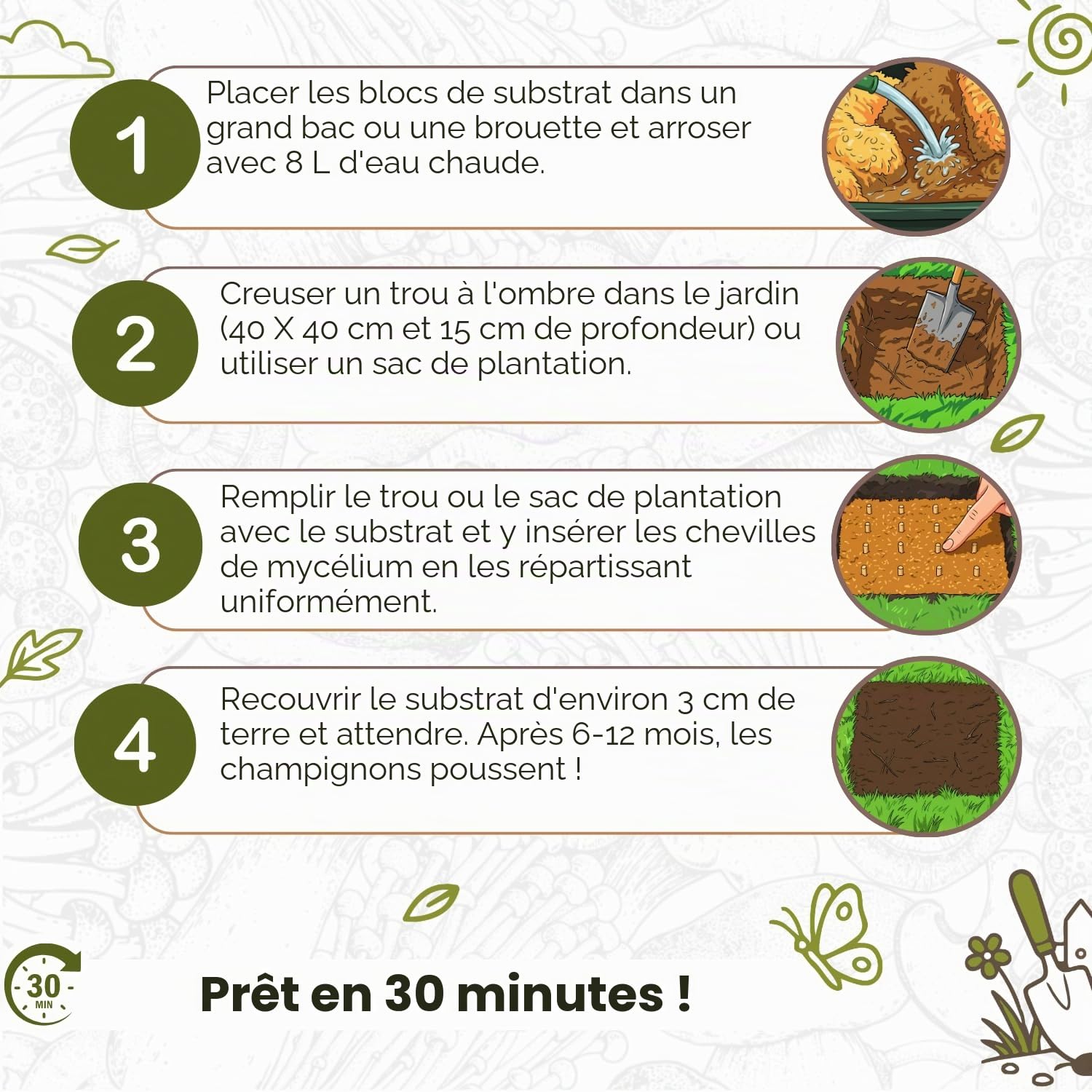 Hawlik Pilzbrut - Kit de champignon pleurote de panicaut - Facile à cultiver soi-même dans votre jardin - kit champignons à faire pousser - idéal pour le jardin
