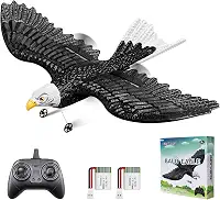 HAWK'S WORK Águia RC, Avião RC de 2 Canais Pronto para Voar, Avião de Controle Remoto de 2,4 GHz, Planador RC Fácil de Pilotar para Crianças e Iniciantes