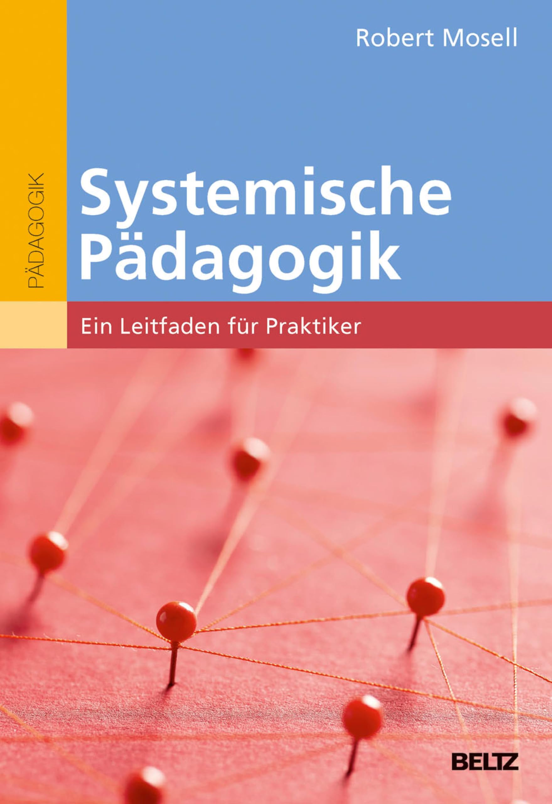 Systemische Pädagogik: Ein Leitfaden für Praktiker