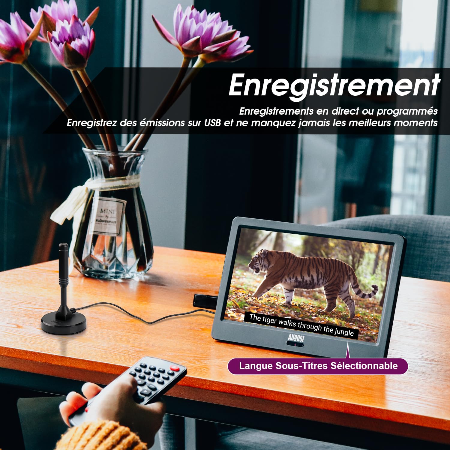August DA900D - TV Portable TNT HD LED 9" 12V Batterie Rechargeable - Télévision Enregistreur et Lecteur Multimédia - Mini Télé Port USB, HDMI, Voiture Camion, Camping-Car, Caravane Compatible 12v