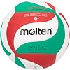 Molten Training Ball V5M2200 WhiteGreenRed 5