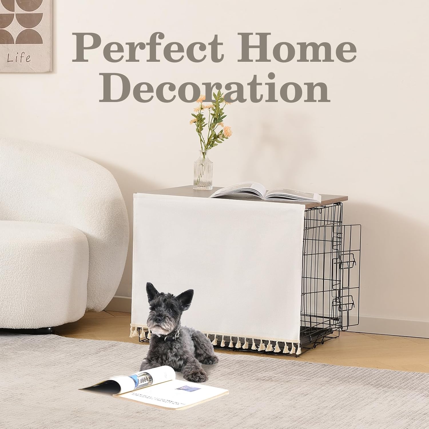 Transform Your Dog