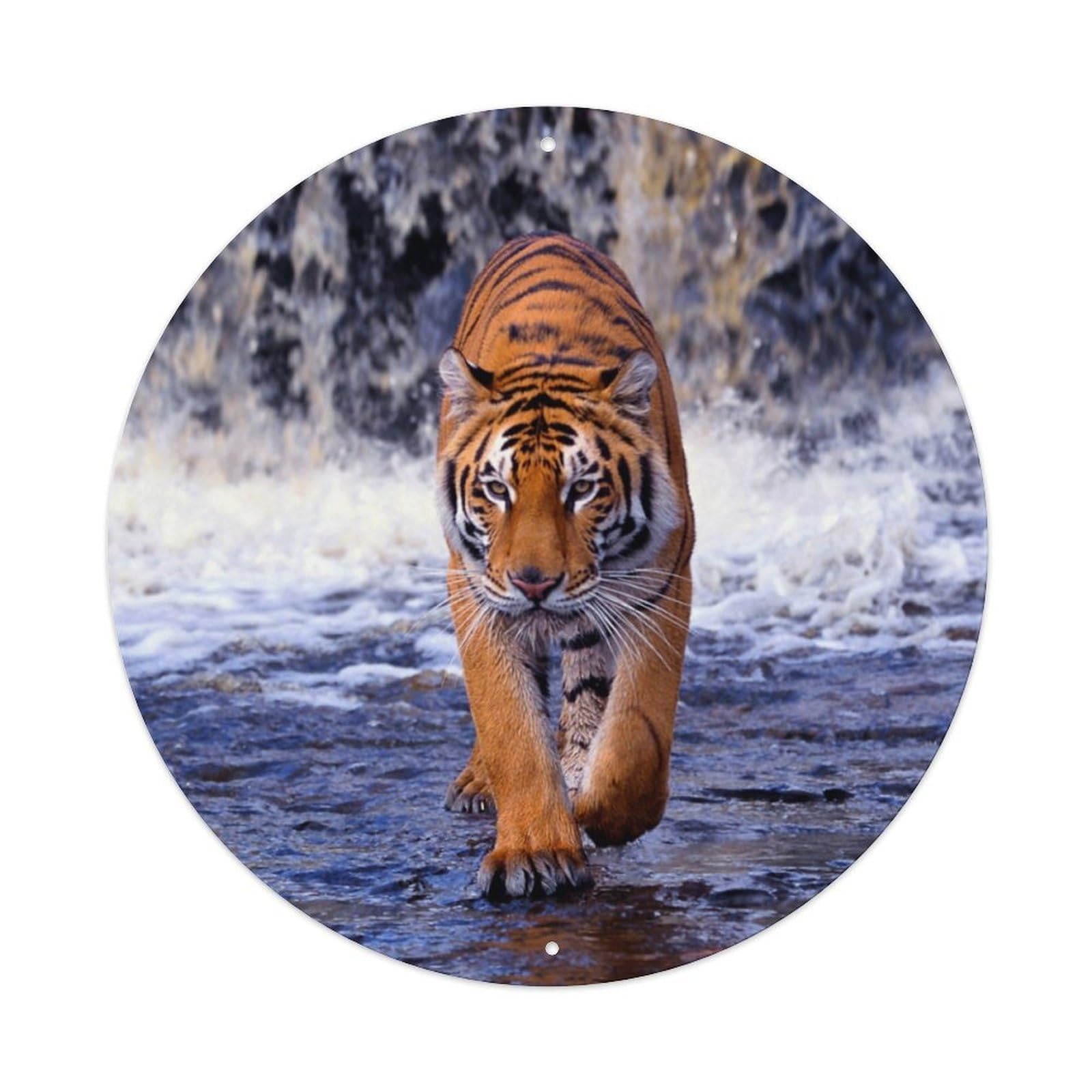 Tiger Wildlife Big Cat Predator Vintage Classic Metal Tin Sign