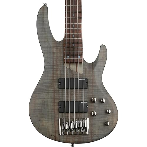 ESP LTD B-205SM - See Thru Black Satin