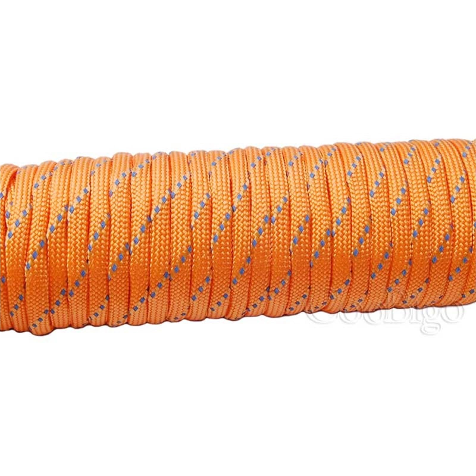 Paracord 1pcs Reflective Paracord Rope Dia.4mm for Survival Parachute Cord Lanyard Camping Climbing Hiking Clothesline(C10,10 Ft)