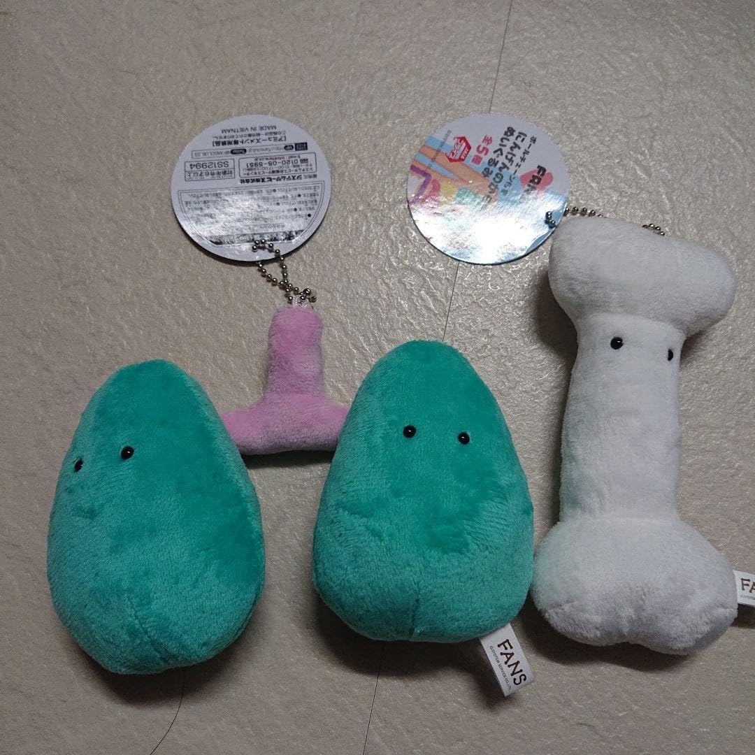 Amazon.co.jp: にんげんのからだぬいぐるみ 肺 骨 : おもちゃ