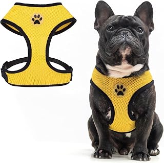 Bingpet Harness Breathable Protection Adjustable