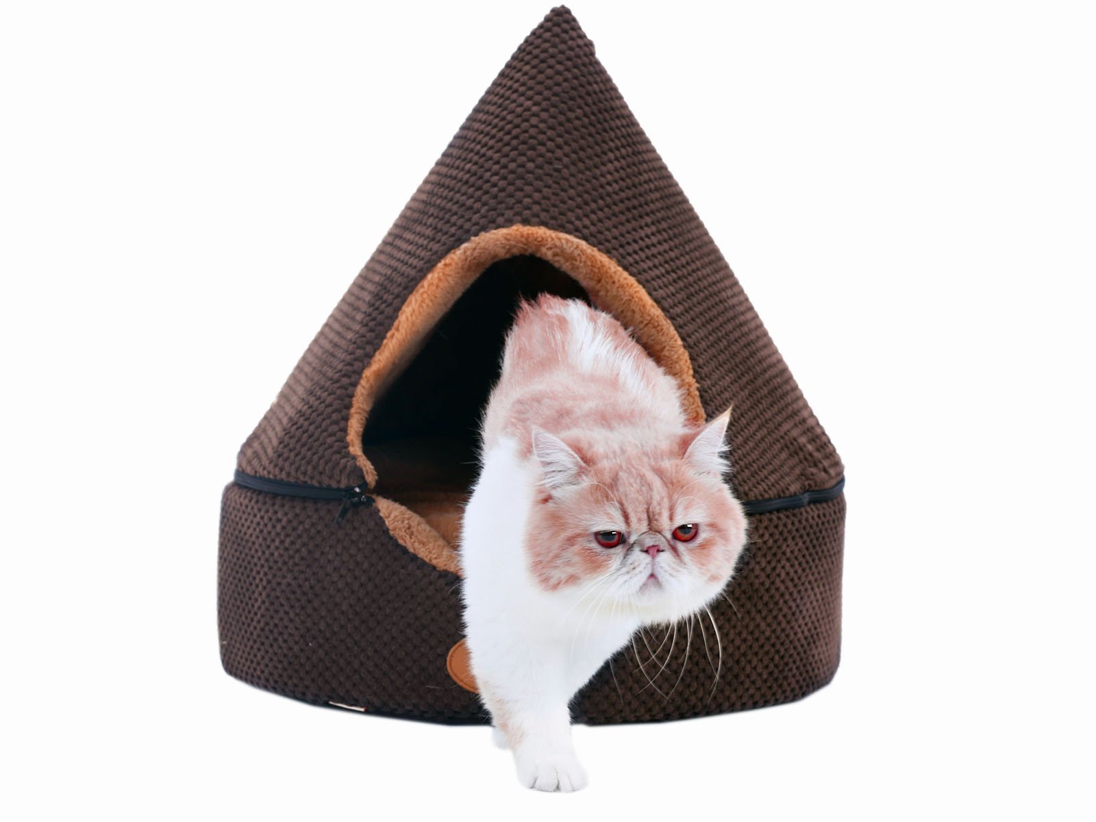 PLS Birdsong Pointy Dog Cave Cuddle Dog Bed, Soft Dog House, Two Modes, Pet Bed, Dog Beds for Medium Dogs, Completely Washable, Brown, Large
