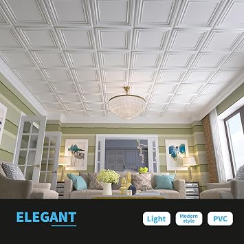 Art3d PVC Ceiling Tiles, 3D Plastic Sheet in White, 2 x 2 ft, 24-Pack