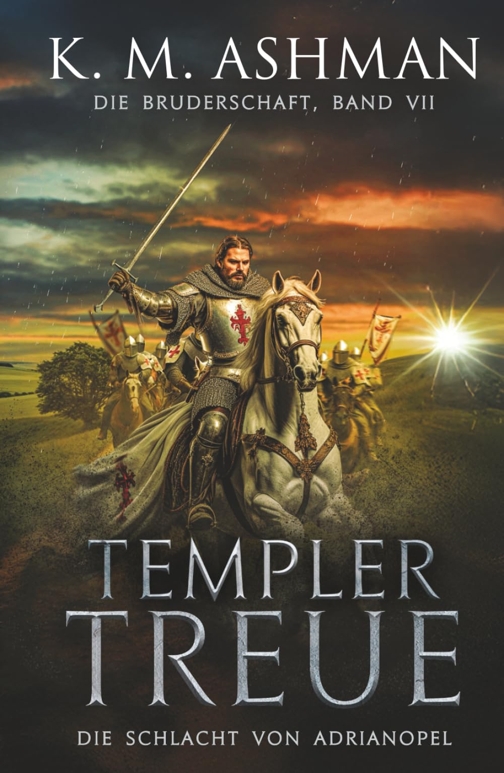 Die Bruderschaft -Band VII: Templer Treue