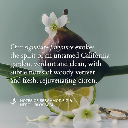 Miniatura 7 de RZ Willow Glen - Aceite de tratamiento multiusos, orgánico vegano nutritivo para cabello, cuero cabelludo y cuerpo, vegano, libre de crueldad, 2