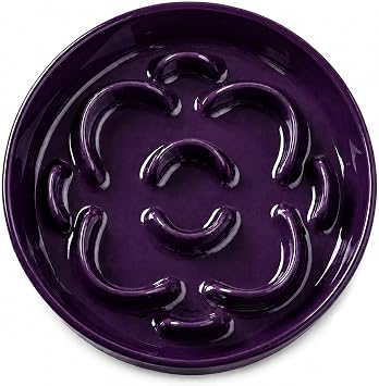 Ceramic Slow Feeder Dog Bowl, 0.8 Cups Anti -Slip Slow Feeding Bowl to Slow Down Eating, 6.3 Inch Dog Food Dish for Small Breeds, Purple