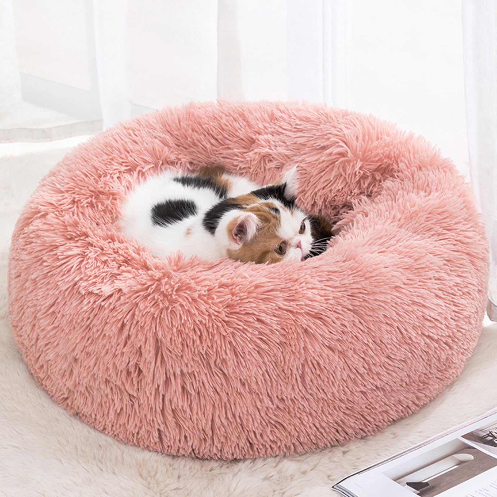 Amazon | YOUSHY 犬 猫 ベッド ペットベッドラウンド型もこもこ 犬用 