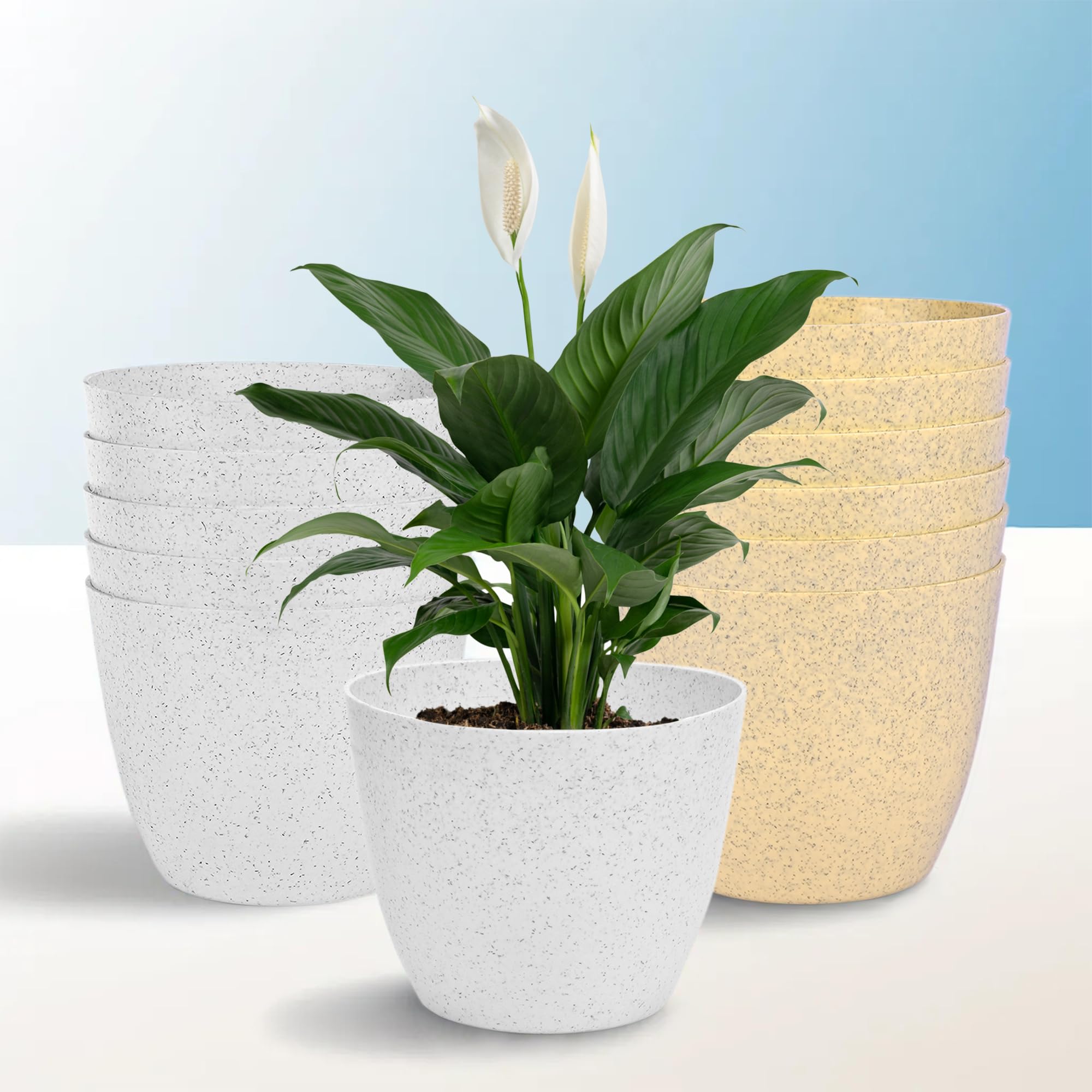 Kuber Industries Pack of 12 Flower Pot | Flower Pot for Living Room-Office | Flower Planters for Home-office-Lawns & Garden D?cor | Planters Pots for Balcony | Marble Cool | 5 Inch | White & Beige (B0CYPKY65W) Amazon Price History, Amazon Price Tracker